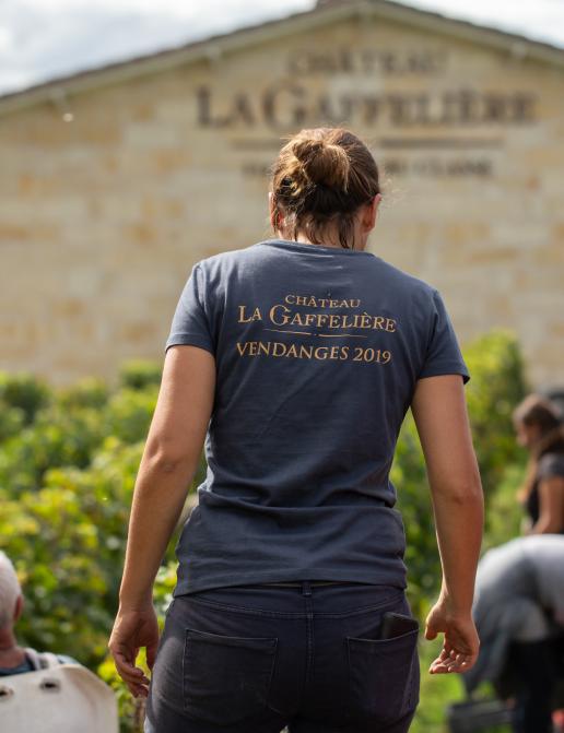 Travail dans les rangs de vigne au Château La Gaffelière à Saint-Émilion